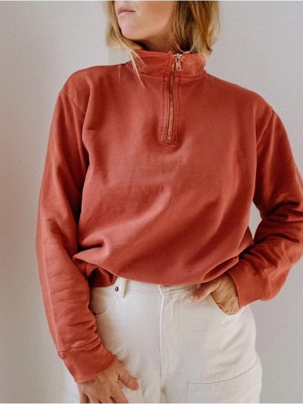 Rudy Jude 1/2 Zip Sweatshirt - Elderberry